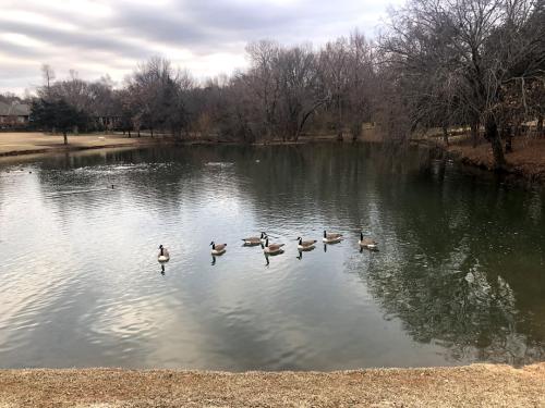 Faircloud Pond Feb 2020