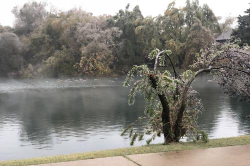 2020Oct26_IceStorm1